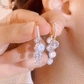 Crystal tassel earrings