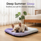 🐶❄️ Cooling Mat for Dogs & Cats – Breathable Ice-Silk, Washable & Non-Slip 🐾