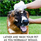 🔥Rinse-Free Dog Shampoo Mitts – Hypoallergenic Pet Bath Wipes（6 Packs）