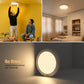 💥Big Sale-50% Off💡Rechargeable Motion Sensor Ceiling Light with Remote - Magnetic Wireless Ceiling Light Battery Powered🛋️