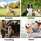 🔥Rinse-Free Dog Shampoo Mitts – Hypoallergenic Pet Bath Wipes（6 Packs）