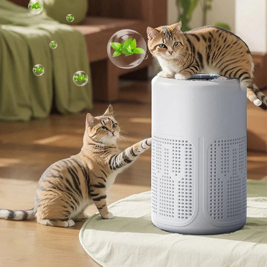 🥳2026 HOT SALE💐Silent Air Purifier – Multi‑layer filtration, ultra‑quiet sleep mode. Covers 30‑50m², one‑touch operation. Breathe clean, rest easy. No more sneezing at night! 🛌✨