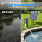 ☀️💧🌿 Solar Pond Aerator – Continuous oxygenation, eco-friendly, no electricity, simple setup.