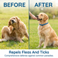 🥳2026 HOT SALE🥳💞50K+ SOLD!🔥Natural Essential Oil Pet Pest Repellent Collar
