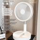 Portable Multifunctional Telescopic Floor Fan✈️Free Shipping