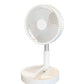 Portable Multifunctional Telescopic Floor Fan✈️Free Shipping