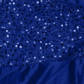 Women’s Stylish Sequin Embellished Dress